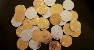 zulamisjanler-foundation-discount